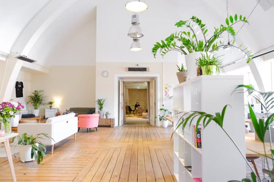 Studio ouvert avec parquet en bois, plafond voûté et plantes d’intérieur créant une ambiance vivante et accueillante.